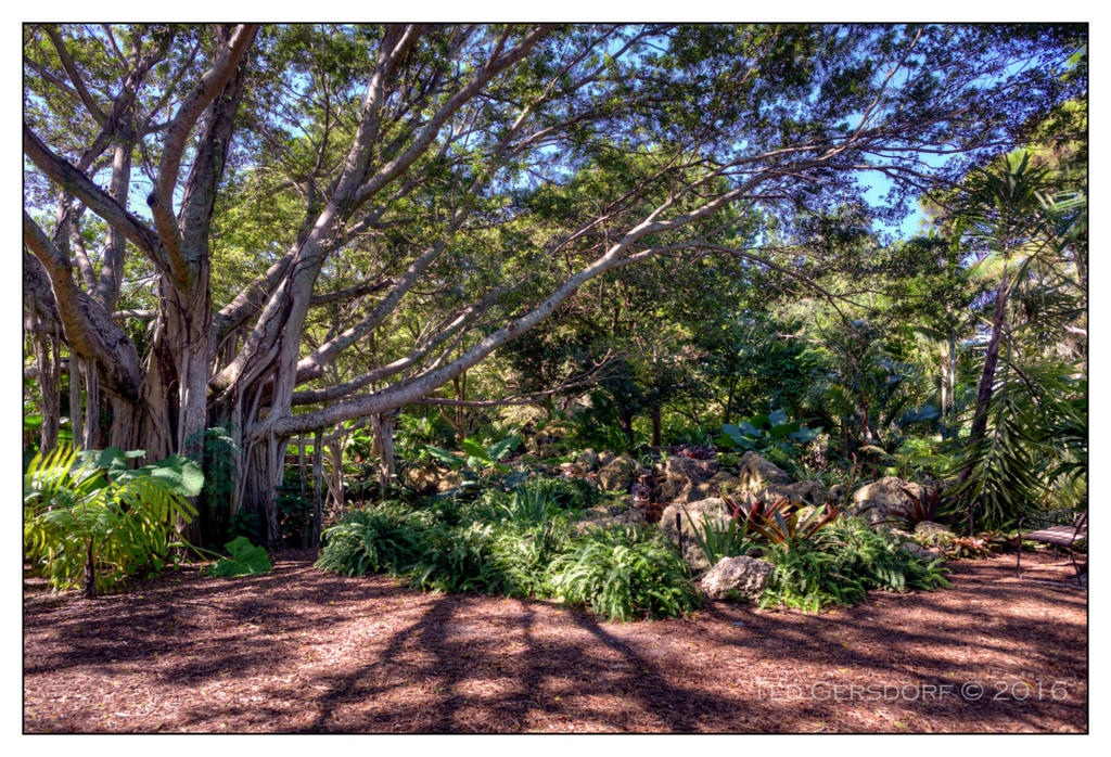 10-21-16 Arboretum HDR    1sm.jpg