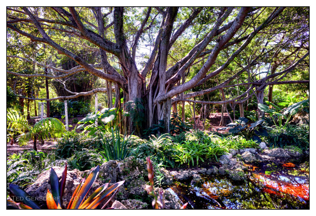 10-21-16 Arboretum HDR    3sm.jpg