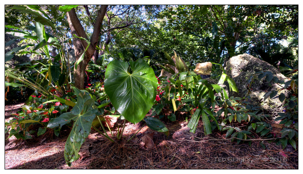 10-21-16 Arboretum HDR    8sm.jpg