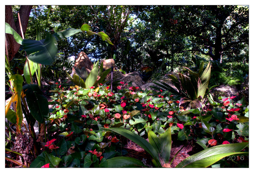 10-21-16 Arboretum HDR    9sm.jpg