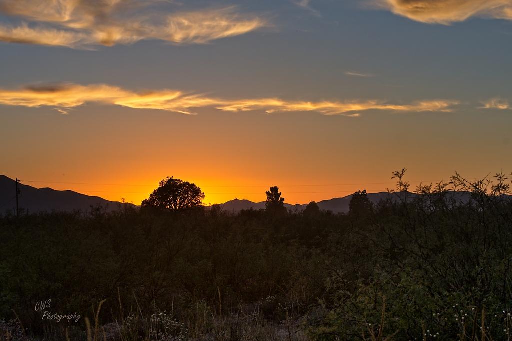 10-22-21-CR-_D502572-20211022-174130-ON1.jpg