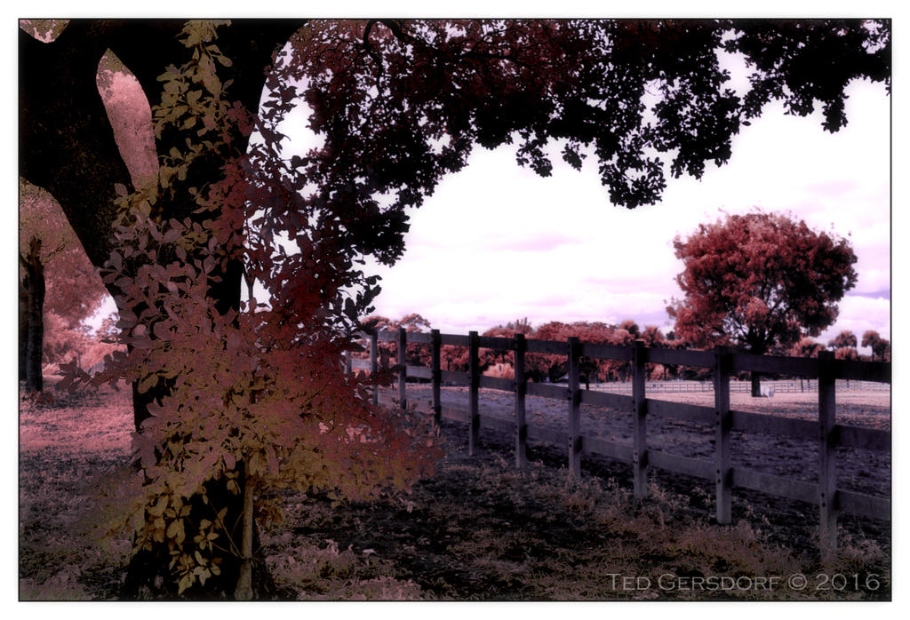 10-25-16 Tradewinds IR     10.2sm.jpg
