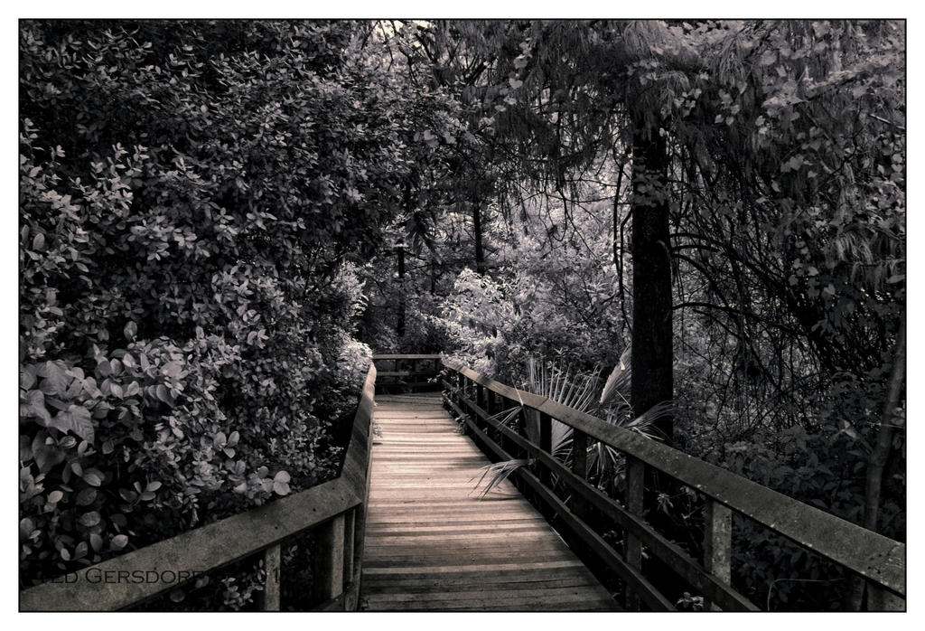 10-25-16 Tradewinds IR     3.1sm.jpg