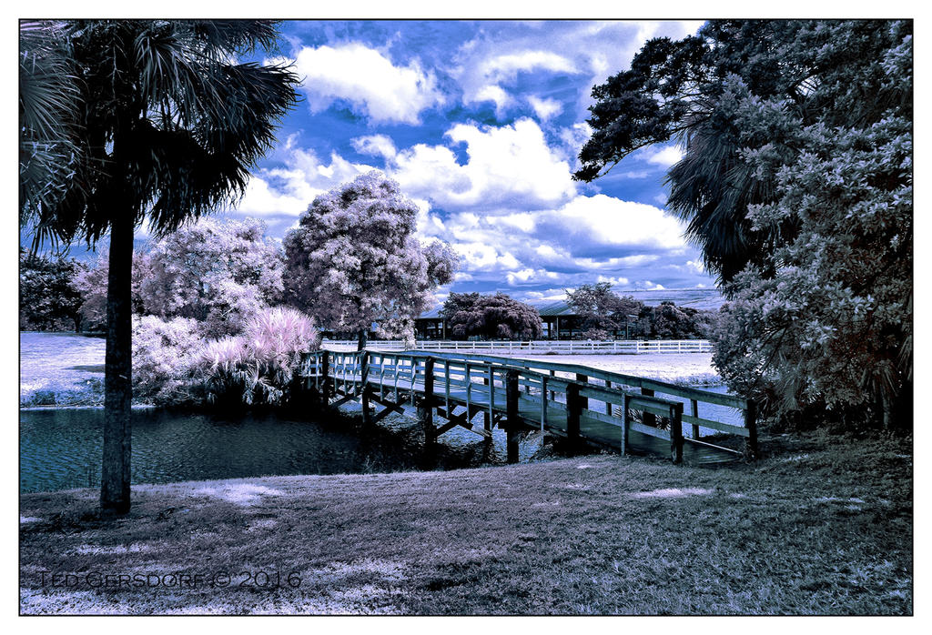 10-25-16 Tradewinds IR     4.1sm.jpg