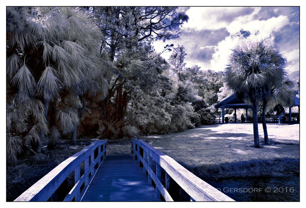 10-25-16 Tradewinds IR     5.1sm.jpg