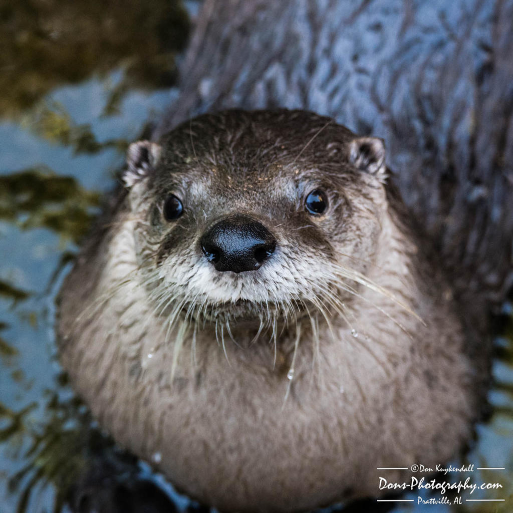 10-26-2017_0057.jpg