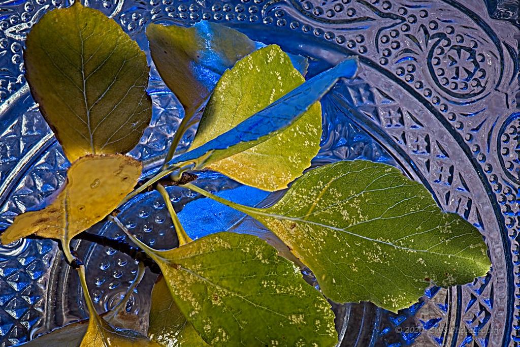 10-27-2020-cr_7503375_Focus-ON1.jpg