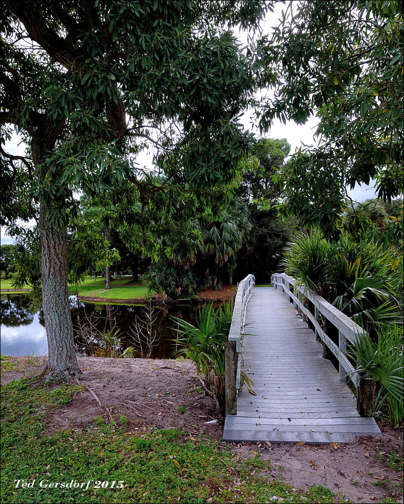 10-29-15 Tradewinds   2.jpg