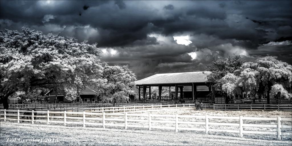 10-29-15 Tradewinds  IR   11BW.jpg