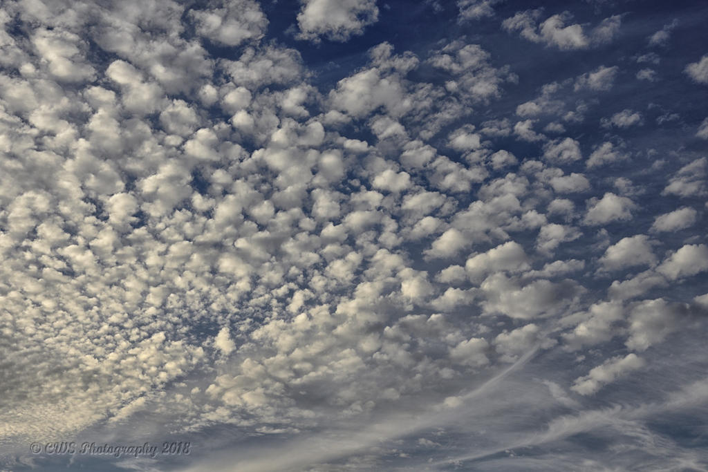 10-29-18-cr__7507961.jpg