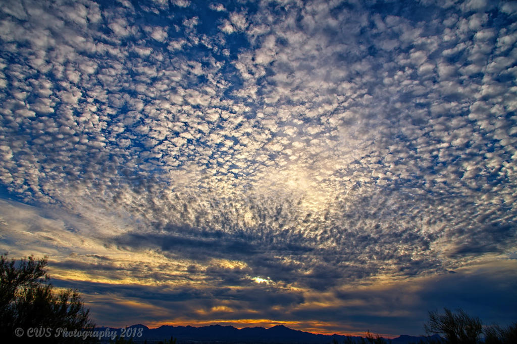10-29-18-cr__7507968_HDR-ON1.jpg