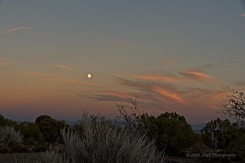 10-29-2020-cr_7503403-ON1.jpg