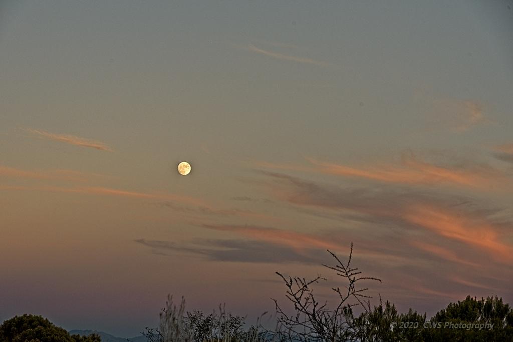10-29-2020-cr_7503405-ON1.jpg