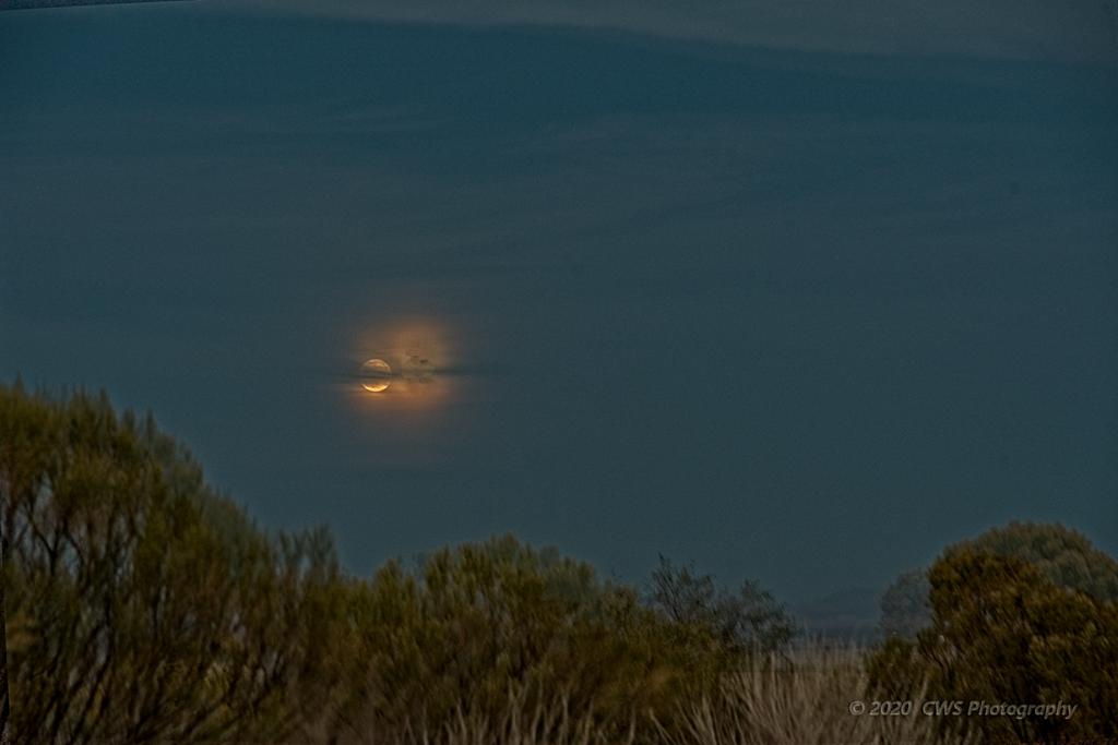 10-30-2020-cr_7503412_HDR-ON1.jpg