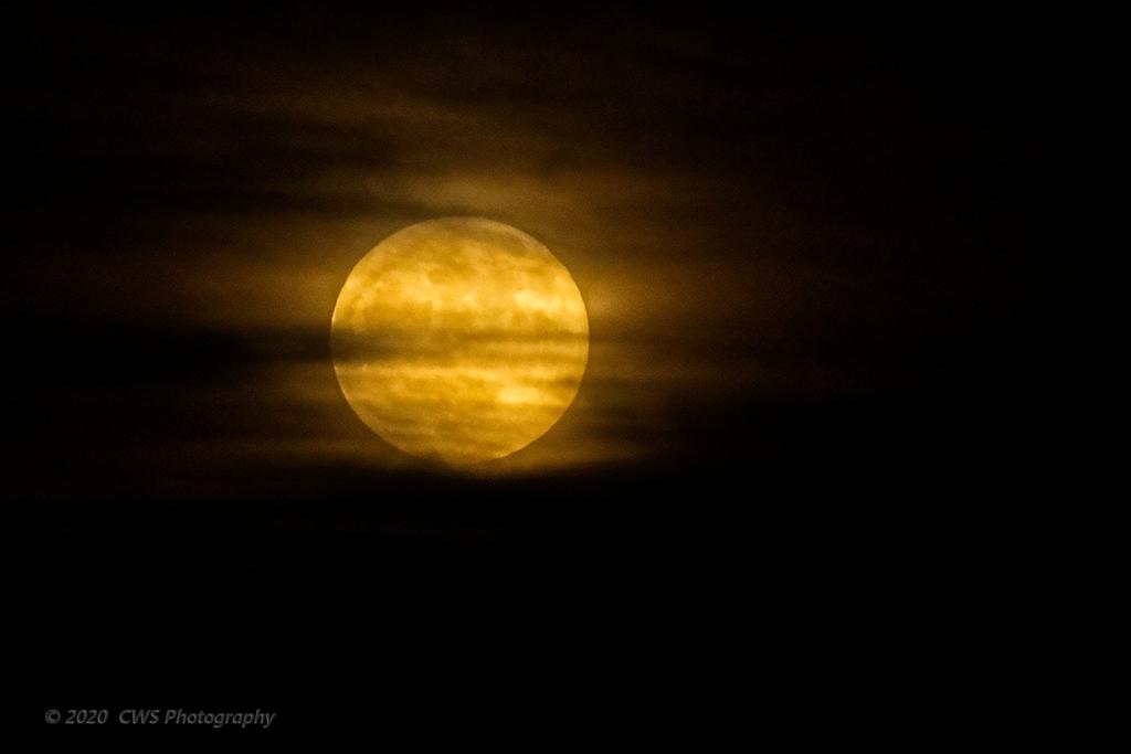 10-31-2020-cr_D7K4610-ON1.jpg
