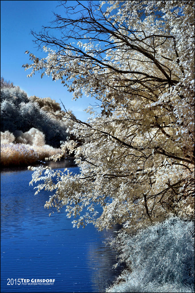 10-8-15  Berea DAM IR    3.jpg