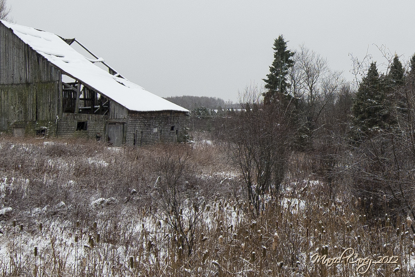 100%crop 16-35 f4.jpg