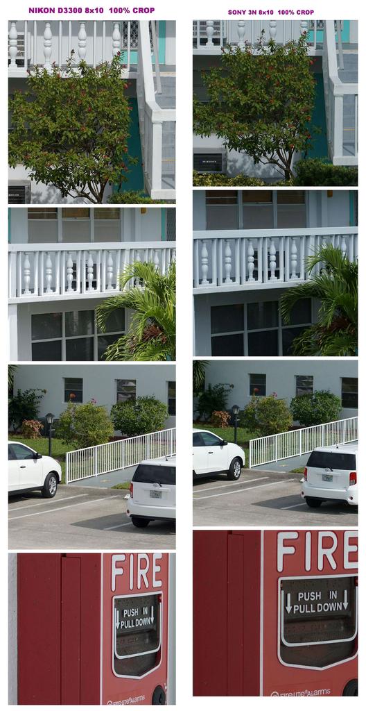 100 CROP COMPARE.jpg