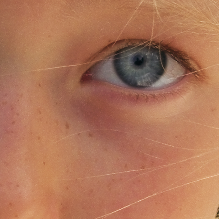 100%crop.jpg