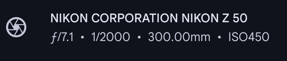 1000005104.jpg