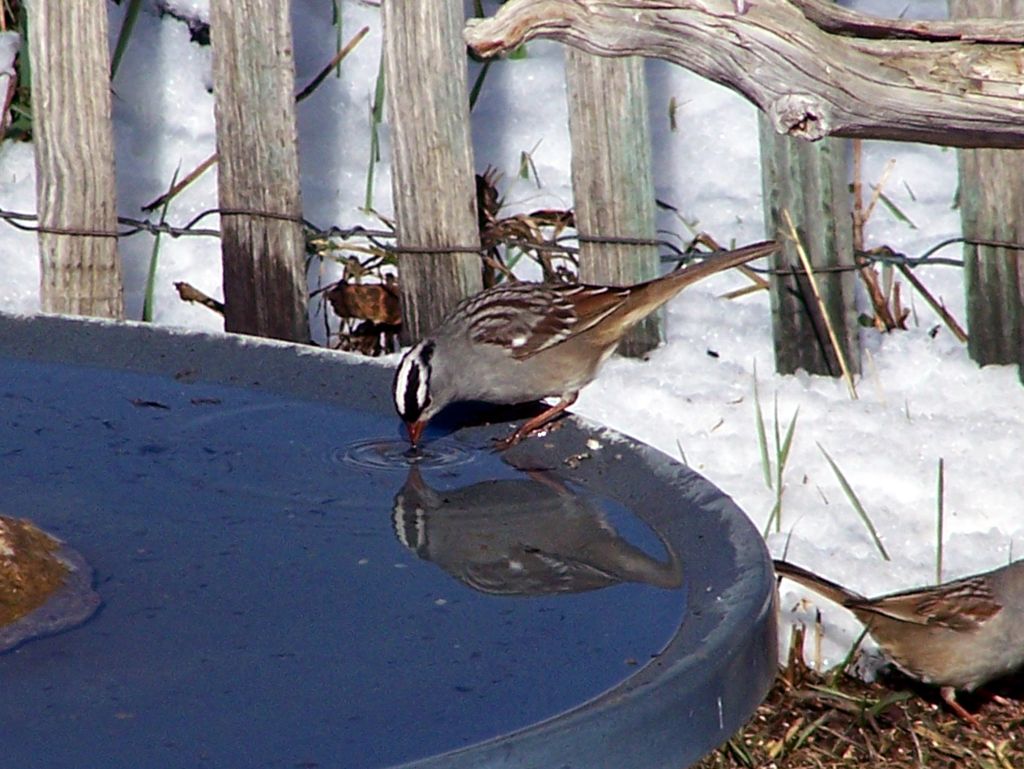 100_1399m.jpg