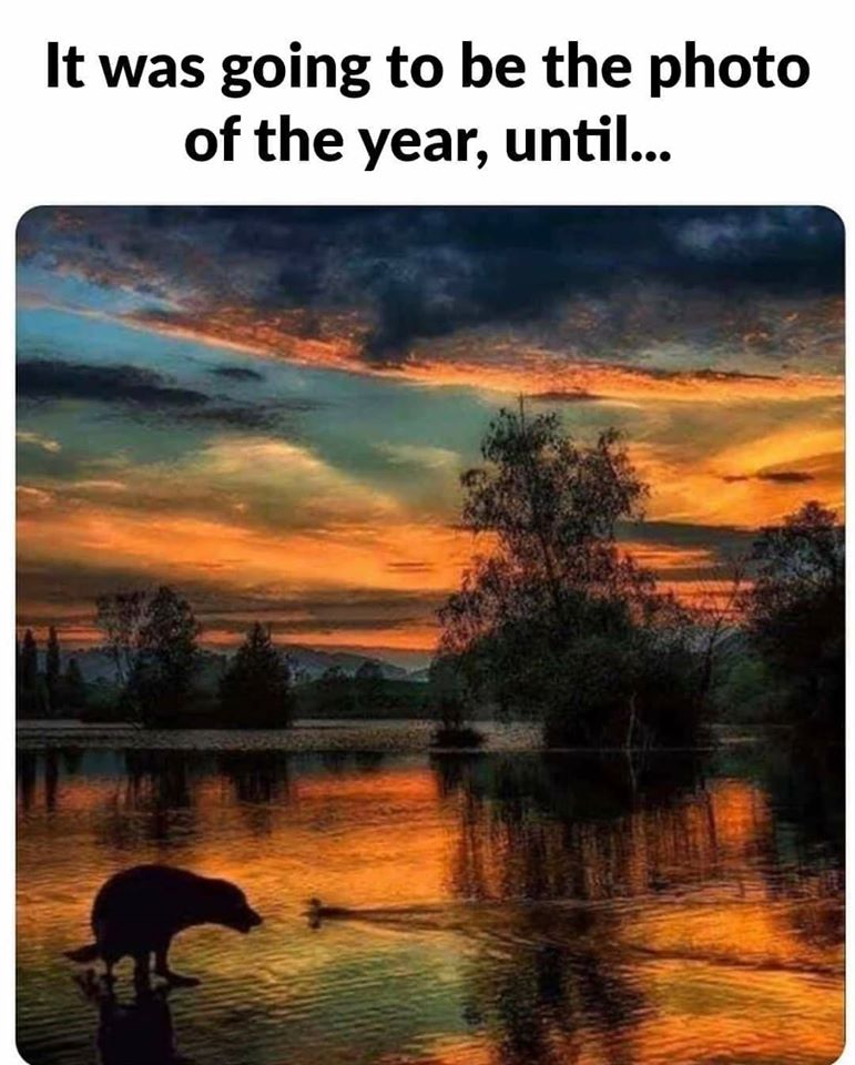 106347944_2672150136387897_7640030676393339503_o.jpg