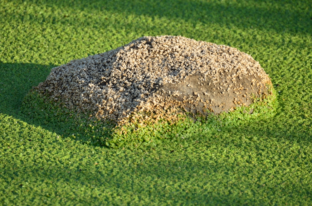 10th Aug 2014 072.JPG