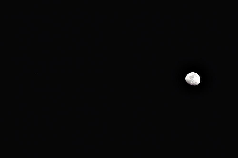 10th Feb 2014 008.JPG