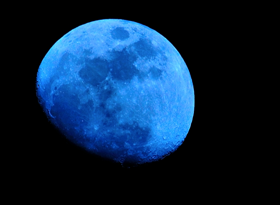 10th Feb 2014 013.JPG