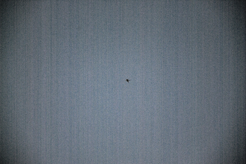 10th Jan 2014 004.JPG
