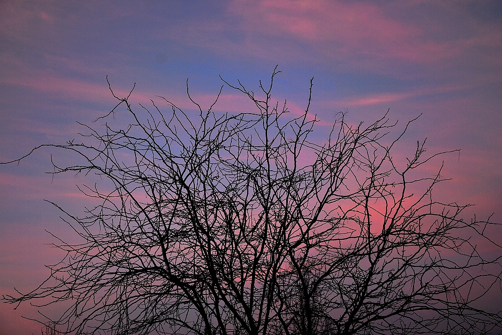 10th Jan 2014 007.JPG