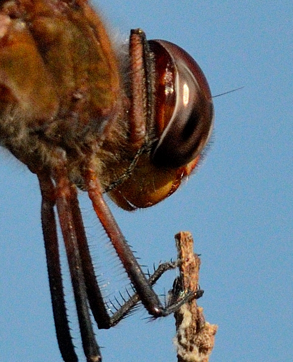 10th July 2015 039.JPG
