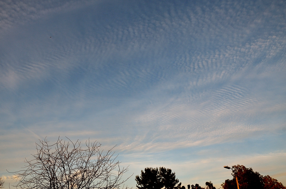 10th Mar 2015 006.JPG