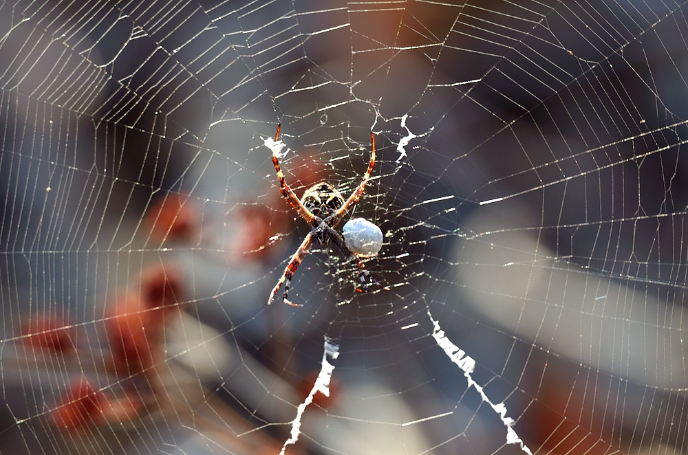 10th Sept 2014 028.JPG