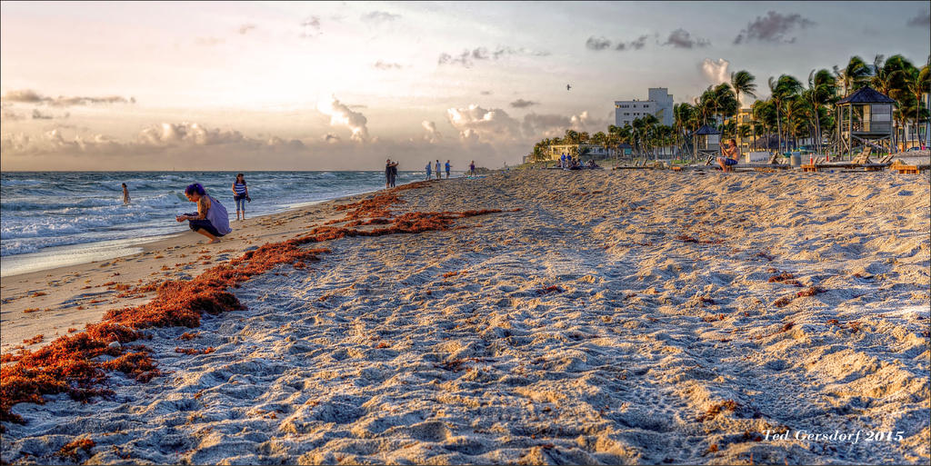 11-07-15 DFB Sunrise    18.jpg