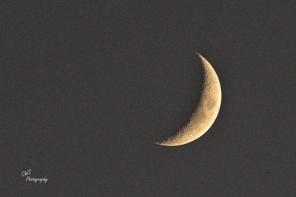 11-08-21-CR-_D502765-2021-11-08-173356_ -ON1.jpg