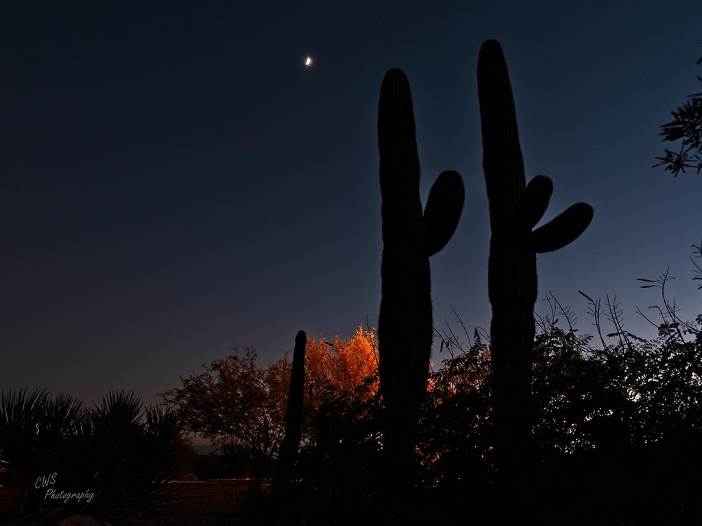 11-10-21-CR-_7505855-2021-11-10-175713_ -ON1.jpg