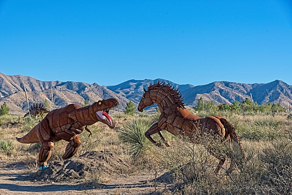 11-15-2020-cr__7503517_HDR-ON1.jpg