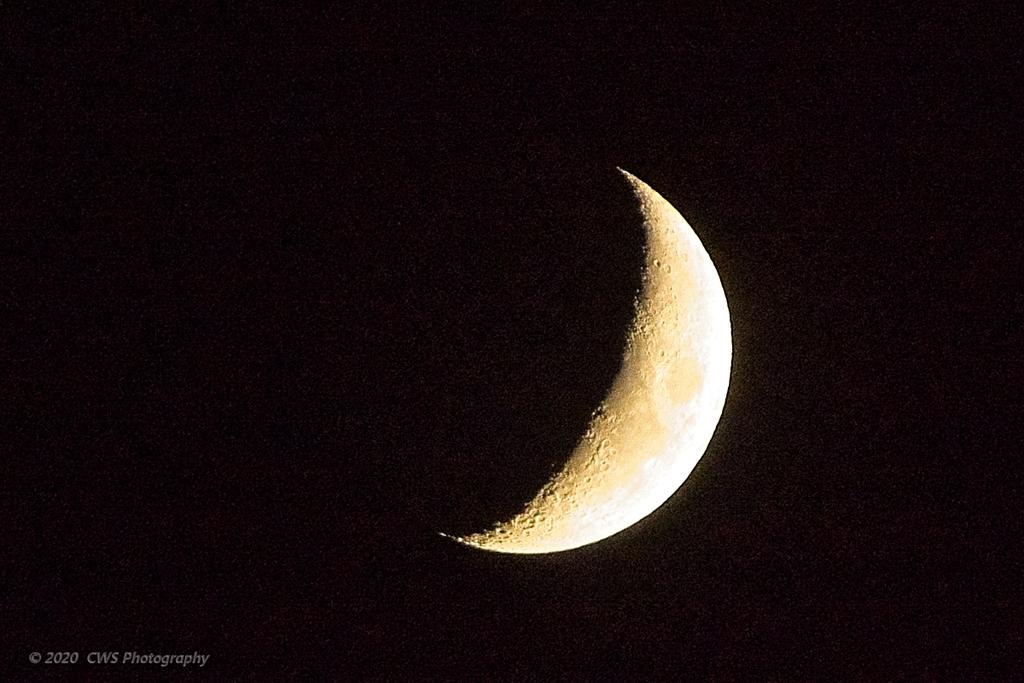 11-19-2020-cr__D7K4663-ON1.jpg