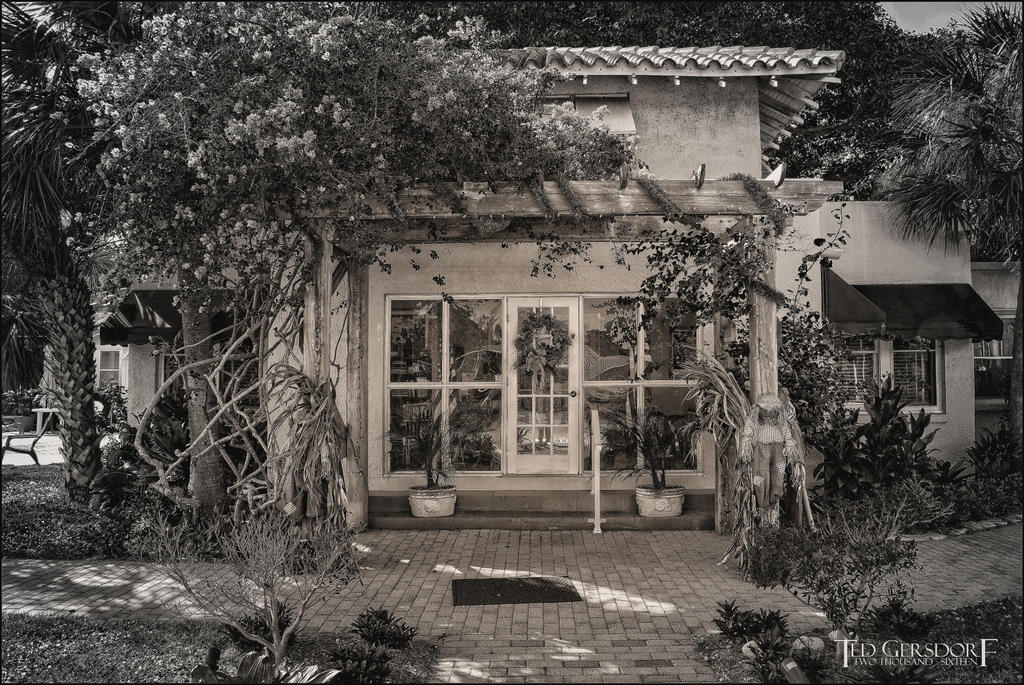 11-20-16 DFB   2.1BW.jpg