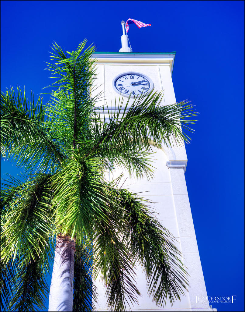 11-20-16 DFB   5Small_1849CMA  8-28-2015.jpg