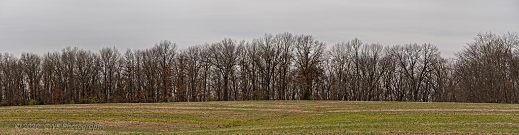 11-20-2020-cr__7503534 Pano-ON1.jpg