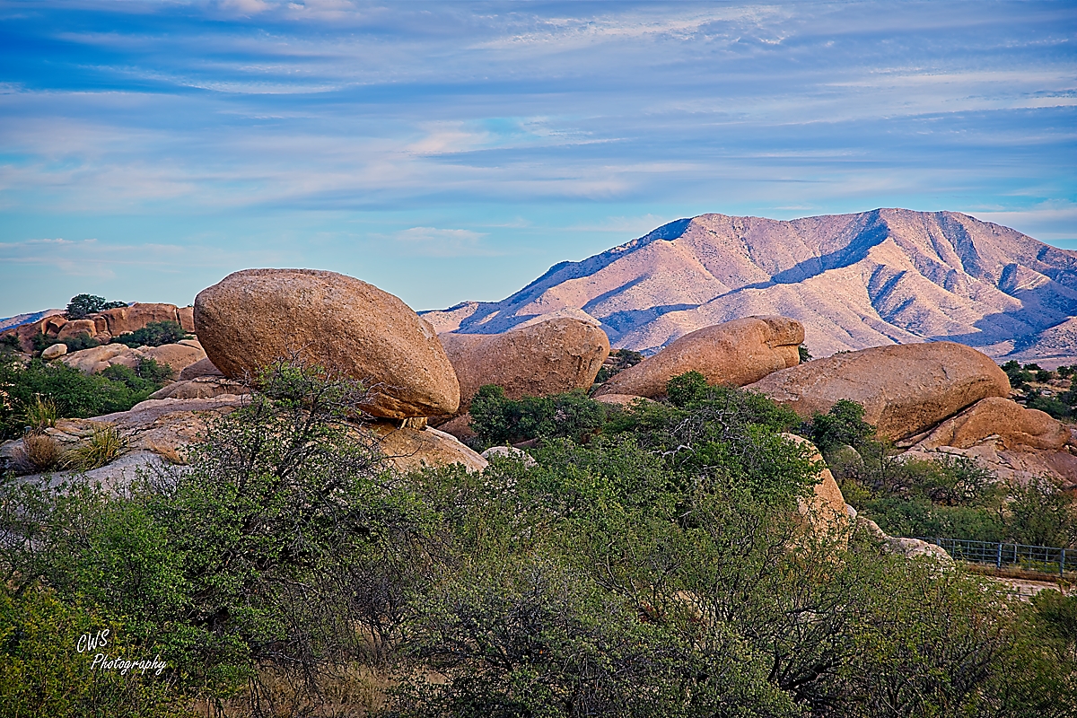 11-21-2025_7508436_HDR-ON1-CR .jpg