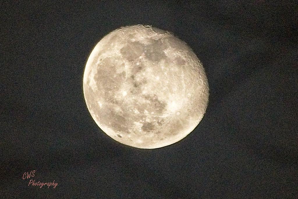 11-21-21-CR-_D502818-2021-11-21-191511_ -ON1.jpg