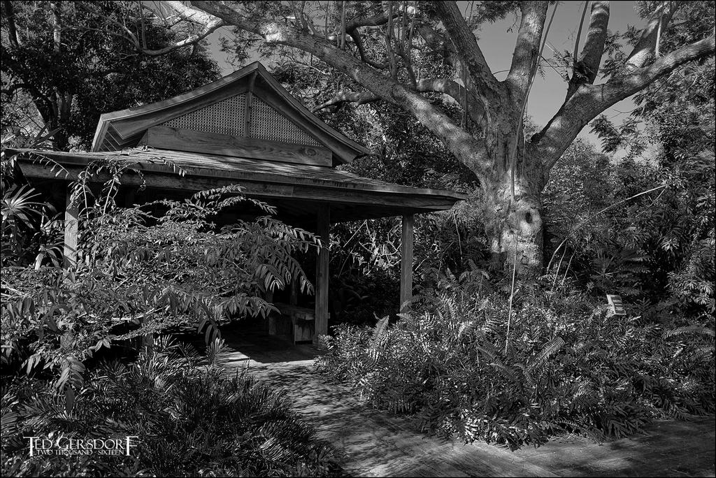 11-22-16 Sony28   8BWsm.jpg