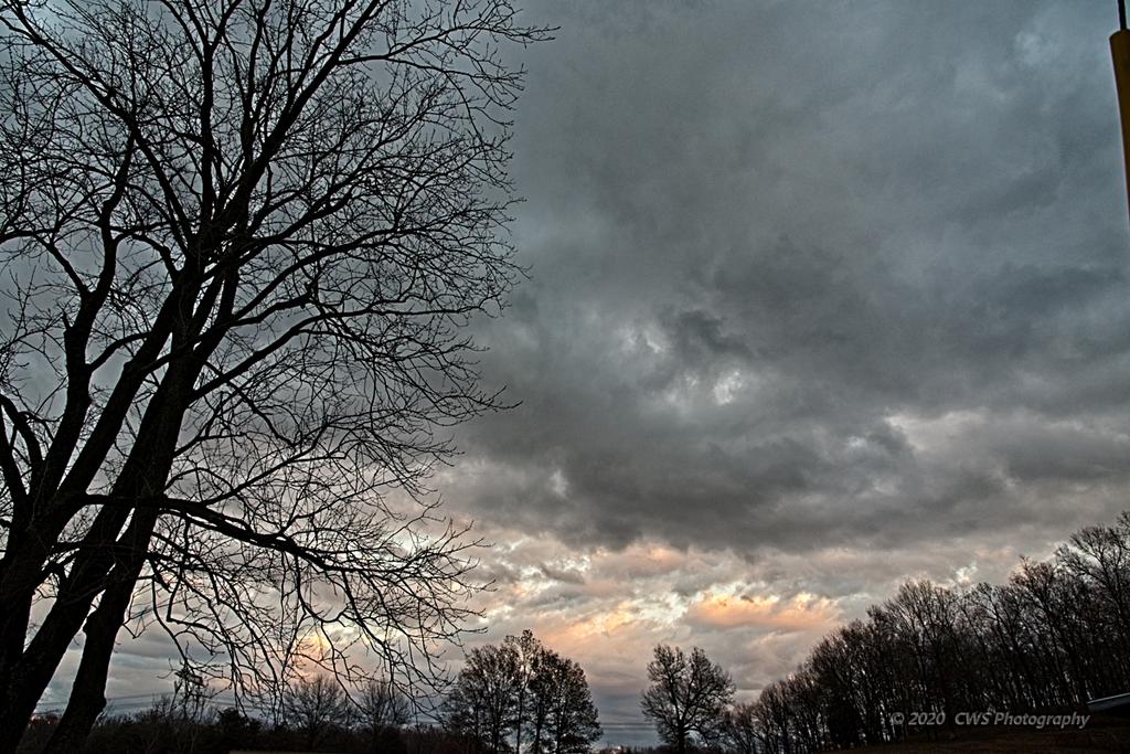 11-25-2020-cr__7503592-ON1.jpg