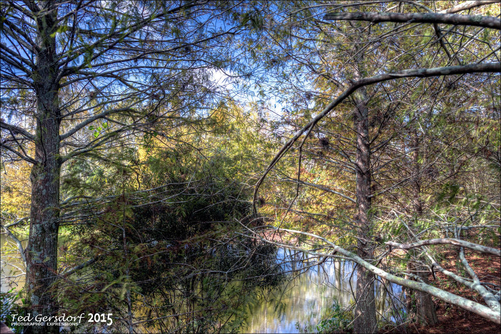 11-28-15 Green Cay    10.jpg