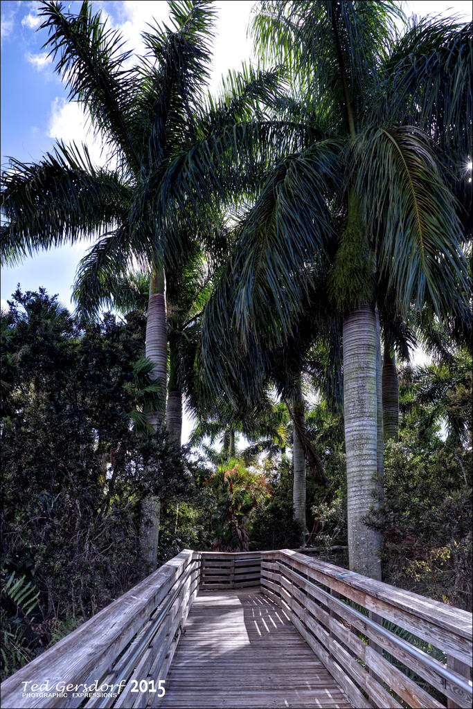 11-28-15 Green Cay    14.jpg