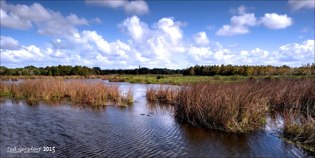 11-28-15 Green Cay    22.jpg