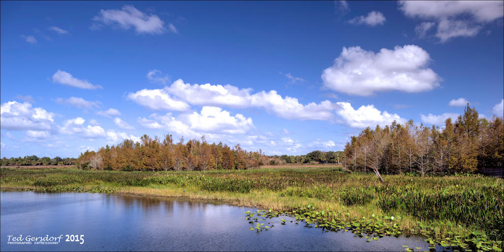 11-28-15 Green Cay    3.jpg